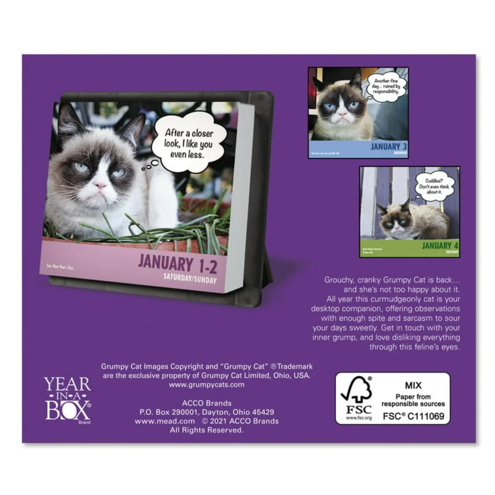 Grumpy cat 2022 calendar